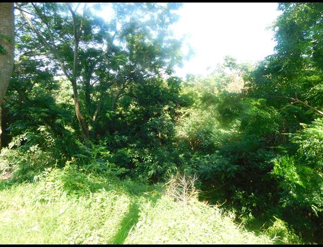 17,212HA VACANT LAND FOR SALE IN MALVERN